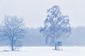 _MG_3509-Hochsitz im Schnee.jpg