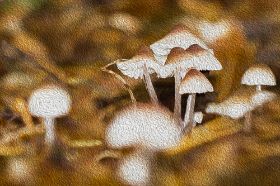 Gemälde mit Pilzen.jpg
