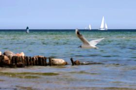 Ostsee-Impression II.jpg